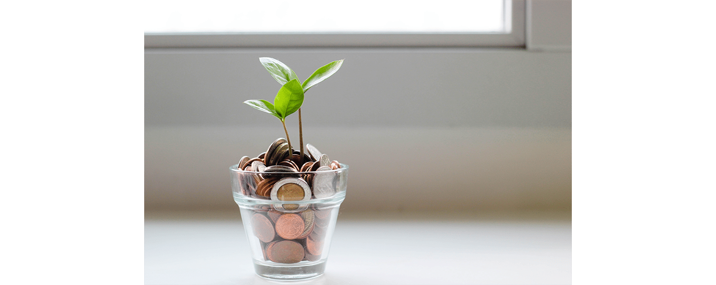 Plant growing out of a glass cup filled with coins