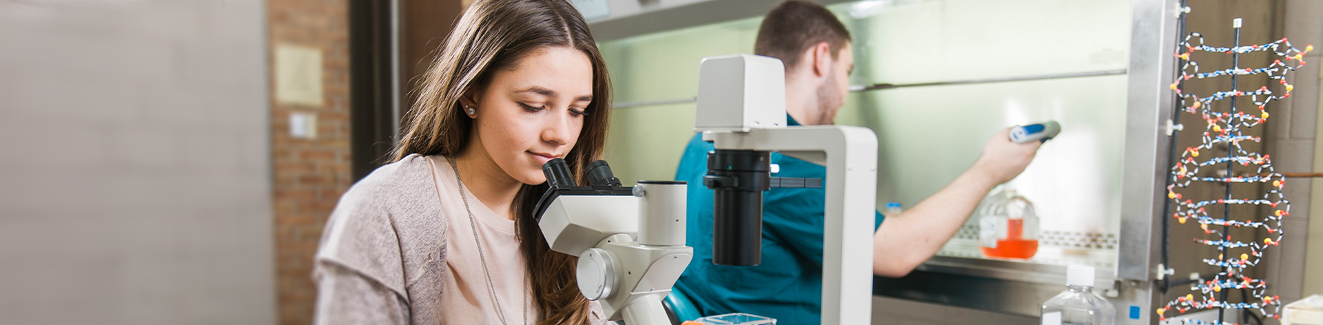 Students apply skills learned as part of their B.S. in Biology degree from Cornerstone University.