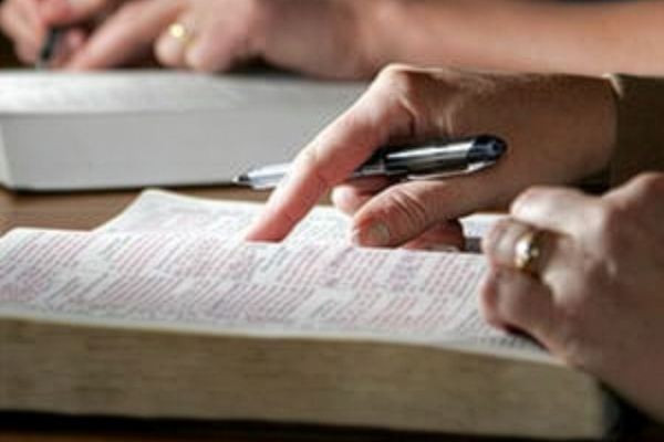 Bible study